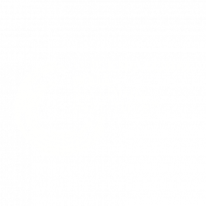 International well buildinf institute